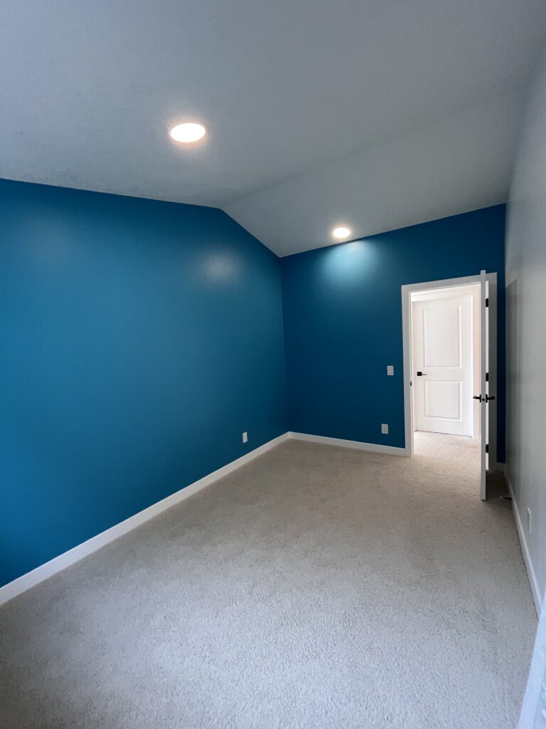 Blue-walled room with white carpet flooring.